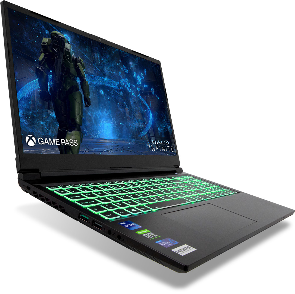 gaming laptop graphics